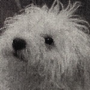 Meet your Posher, Noreen